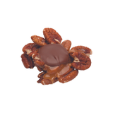 Milk Chocolate Pecan Snappers, Bulk