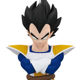 Dragon Ball Z Vegeta Ornament